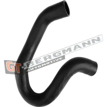 Hadička plnicího vzduchu GT-BERGMANN GT52-453