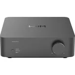 WiiM Vibelink Amp Space Gray