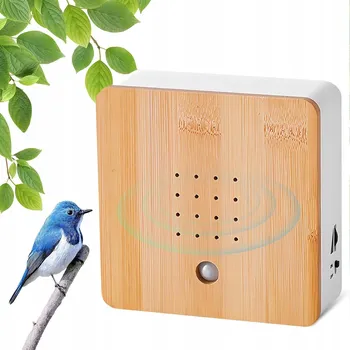 IP kamera Senzor pohybu a zvuku - Zvuková kulisa: Zpěv ptáků v lese