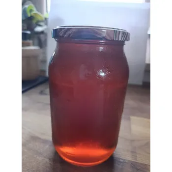 Lesní med 1200g - POLSKÝ med od včelaře KUJAW