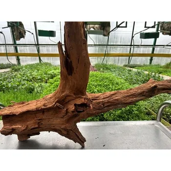 Dekorace do akvária Kořen Mangrove L č.14