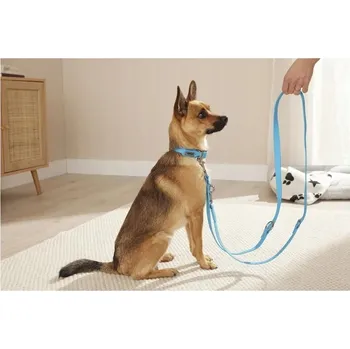 Obojek pro psa Obojek a vodítko pro psa s 3stupňovým nastavením, měkké neoprenové polstrování