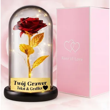 Obraz VĚČNÁ RŮŽE LED, DÁREK PRO NI, KAMARÁDKU, ŠÉFOVOU, SESTRU K NAROZENINÁM