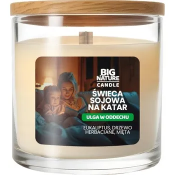Svíčka Vonná sójová svíčka eukalyptus, čajovník a máta Big Nature 150g