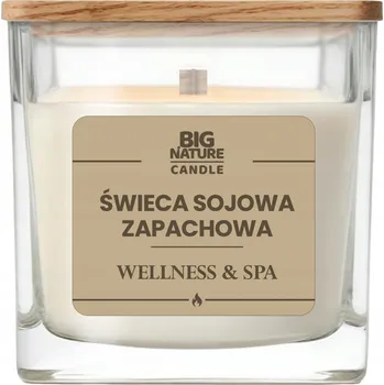 Svíčka Big Nature Sójová svíčka s vůní WELLNESS&SPA 220 g