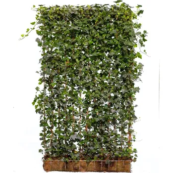 Plot AS-Green Fence 2.0