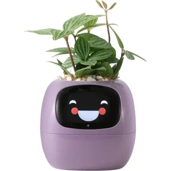 Tuya Ivy Smart Planter - chytrý multifunkční květináč Barva: Fialová