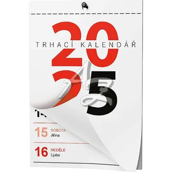 Kalendář nástěnný kalendář 2025, Senior I, 100x147mm, trhací