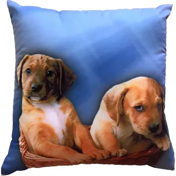 Dekorativní polštářek Fotopolštářek Dvě štěňata na modrém 40x40 cm