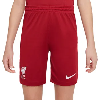 Pánské kraťasy Šortky Nike LFC Y NK DF STAD SHORT HM 2022/23 dm2225-608 Velikost L