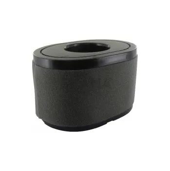 Filtr vzduchový pro LONCIN LC2P77F