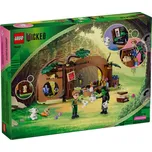 LEGO Wicked 75687 Elphaba a její úkryt