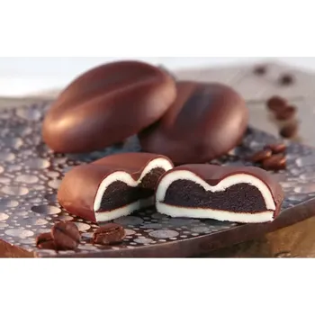 IREKS ENZYMA Karina Moccacino 250g