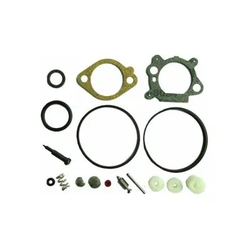 Sada těsnění pro BS QUANTUM 492495