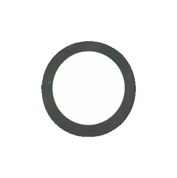 Příslušenství k zahradní technice Podložka šnekového kola DSK317/AKY 0,3 mm