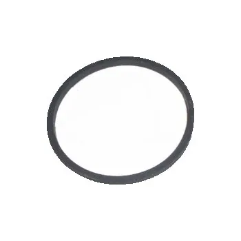 Těsnění plovákové komory pro BS 280492