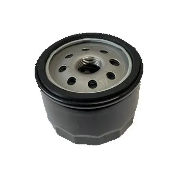 Příslušenství pro zahradní traktor Filtr olejový pro BS VANGUARD 14 HP 842921