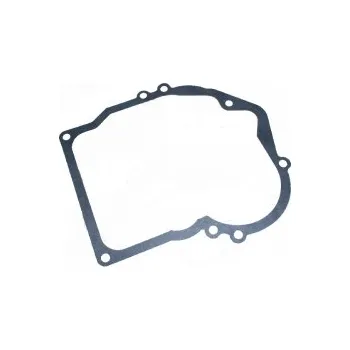 Těsnění skříně Tecumseh