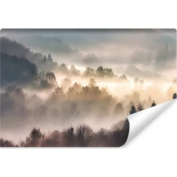 Fototapeta Fototapeta do obýváku Krajina LES v mlze Východ slunce 3D efekt 360x240