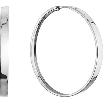 Náušnice Stříbrné náušnice kruhy 61068