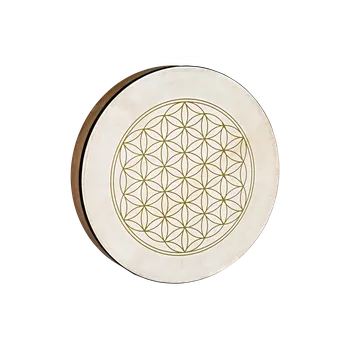 Bicí nástroj MEINL Sonic Energy HD16WB-FOL Hand Drum 16"