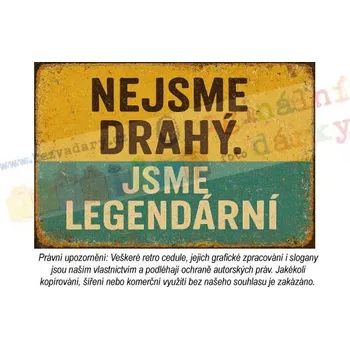 Plechová cedule Retro cedule - dílna a garáž 22 - Plast / A5 ( 20x15cm)