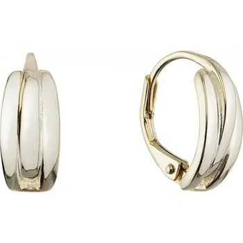 Náušnice Pozlacené stříbrné náušnice kruhy 61071