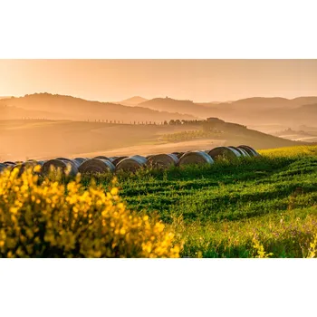 Obraz Obraz na plátně POLE SE SENEM 60x35cm do firmy, kanceláře, obývacího pokoje