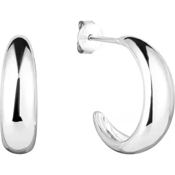 Náušnice Stříbrné náušnice kruhy 61062