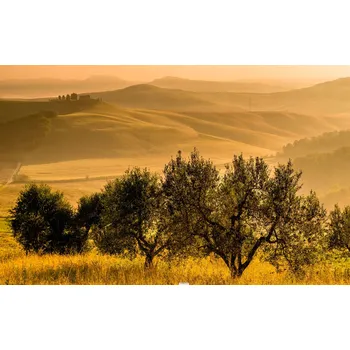 Obraz Obraz na plátně ZELENÉ KOPCE 60x35cm do firmy, obýváku, ložnice