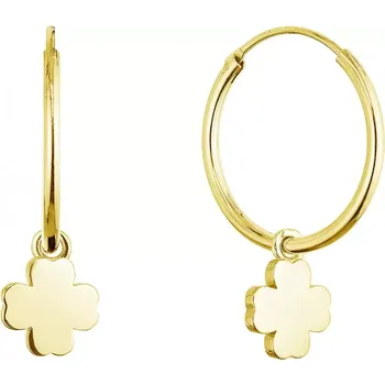 Oblečení a móda Pozlacené stříbrné náušnice kruhy se čtyřlístky 61057