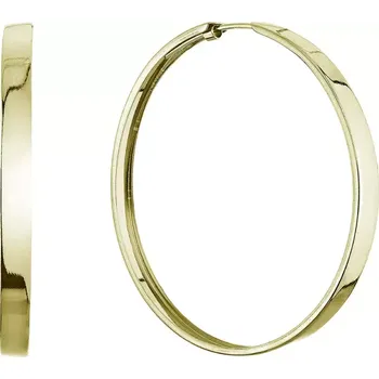 Náušnice Stříbrné pozlacené náušnice kruhy 61068