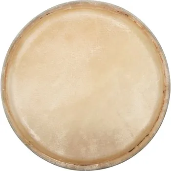 Blána CLUB SALSA F847250 Conga Drumhead 10"