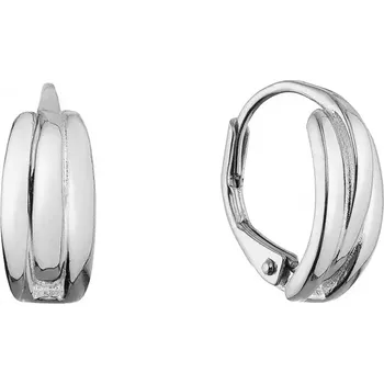 Náušnice Stříbrné náušnice kruhy 61071