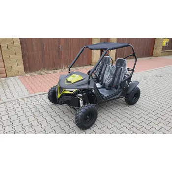 Dětská tříkolka Dětská Buggy Cheetah4Kids 2, 208ccm, věk jezdce 10+ zelená