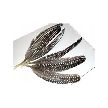 Lampička Stolní lampa Eglo Lejias, čirá/černá, 8 W