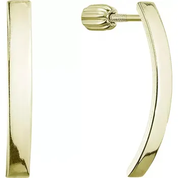 Oblečení a móda Pozlacené stříbrné náušnice 61066