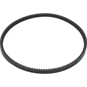 Příslušenství pro zahradní traktor STIGA Řemen pojezdu (135061407/1)