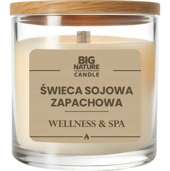 Svíčka Sójová svíčka s vůní Wellness and Spa 225 g - Big Nature