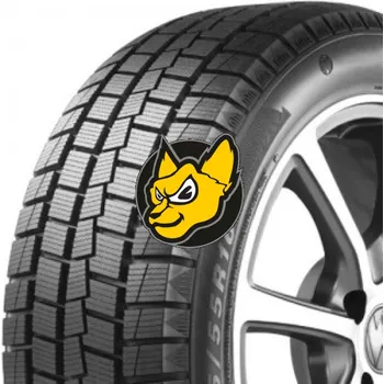 Zimní osobní pneu Sunny NW312 235/55 R18 104S XL M+S