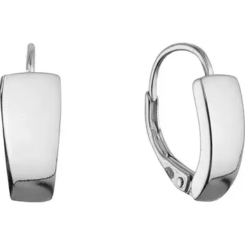 Náušnice Stříbrné náušnice kruhy 61072