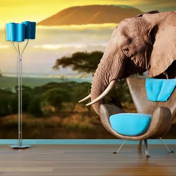 Tapeta Sablio Tapeta Slon z profilu - 125x75 cm