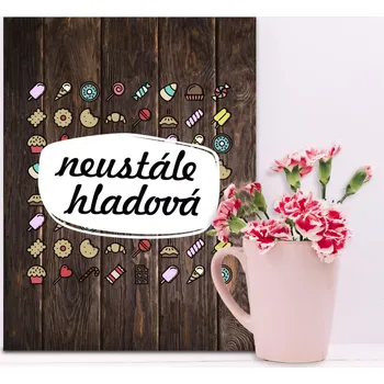 Plechová cedule Sablio Dárková cedulka Neustále hladová: 30x40 cm