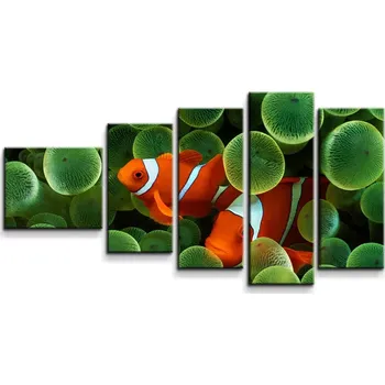 Obraz Sablio Obraz - 5-dílný Klaun očkatý - 100x60 cm