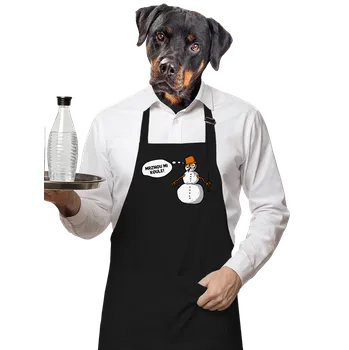 Kuchyňská zástěra Bastard Mrznou mi koule zástěra Black