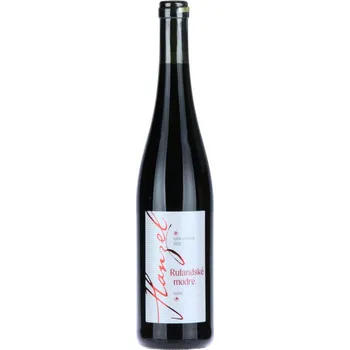 Nápoj Vinařství Hanzel Rulandské modré 2023 výběr z hroznů suché 0,75 l