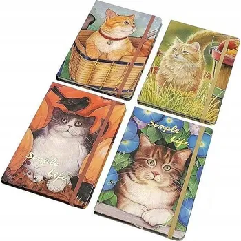 Blok Notes A5 Hasta vícebarevný