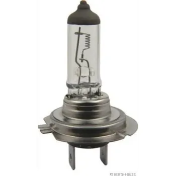 Povinná bezpečnostní výbava Žárovka, hlavní světlomet HERTH+BUSS ELPARTS 89901207