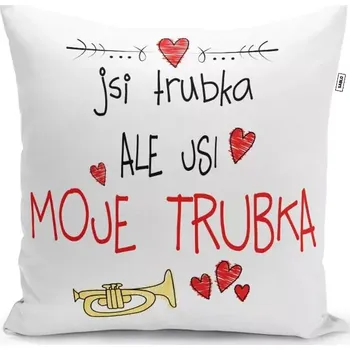 Polštář Sablio Polštář Jsi trubka, ale jsi moje trubka: 40x40 cm
