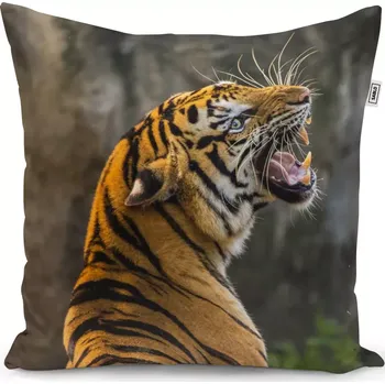 Polštář Sablio Polštář Řvoucí tygr - 40x40 cm